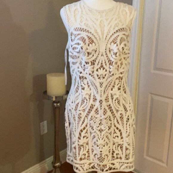 Tadashi Shoji NWT Illusion Crochet Lined Dress - Picture 8 of 16